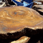 coffee-slab_004