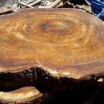 coffee-slab_006