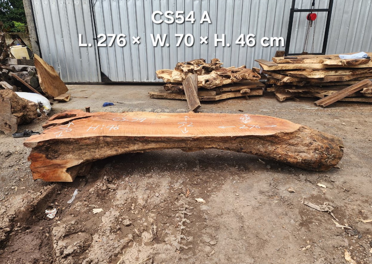 CS54 A