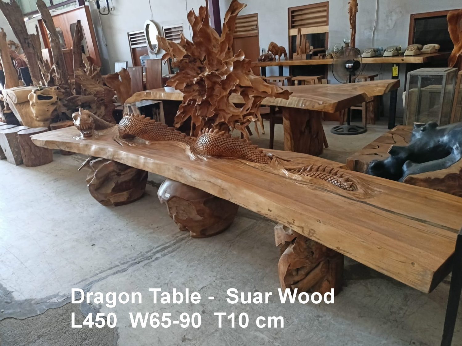 DRAGON TABLE 450cm – Bali Wood Slab