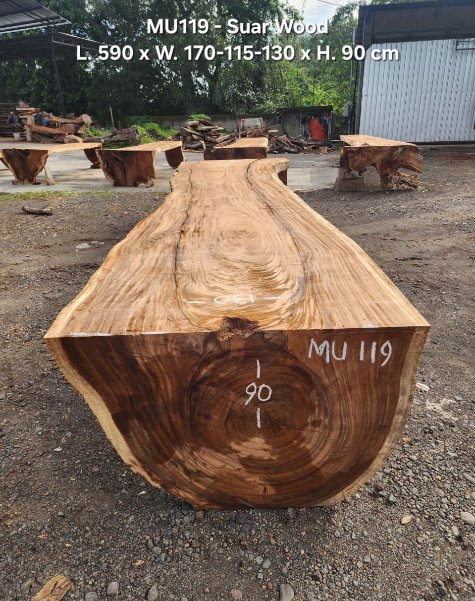 MU119.